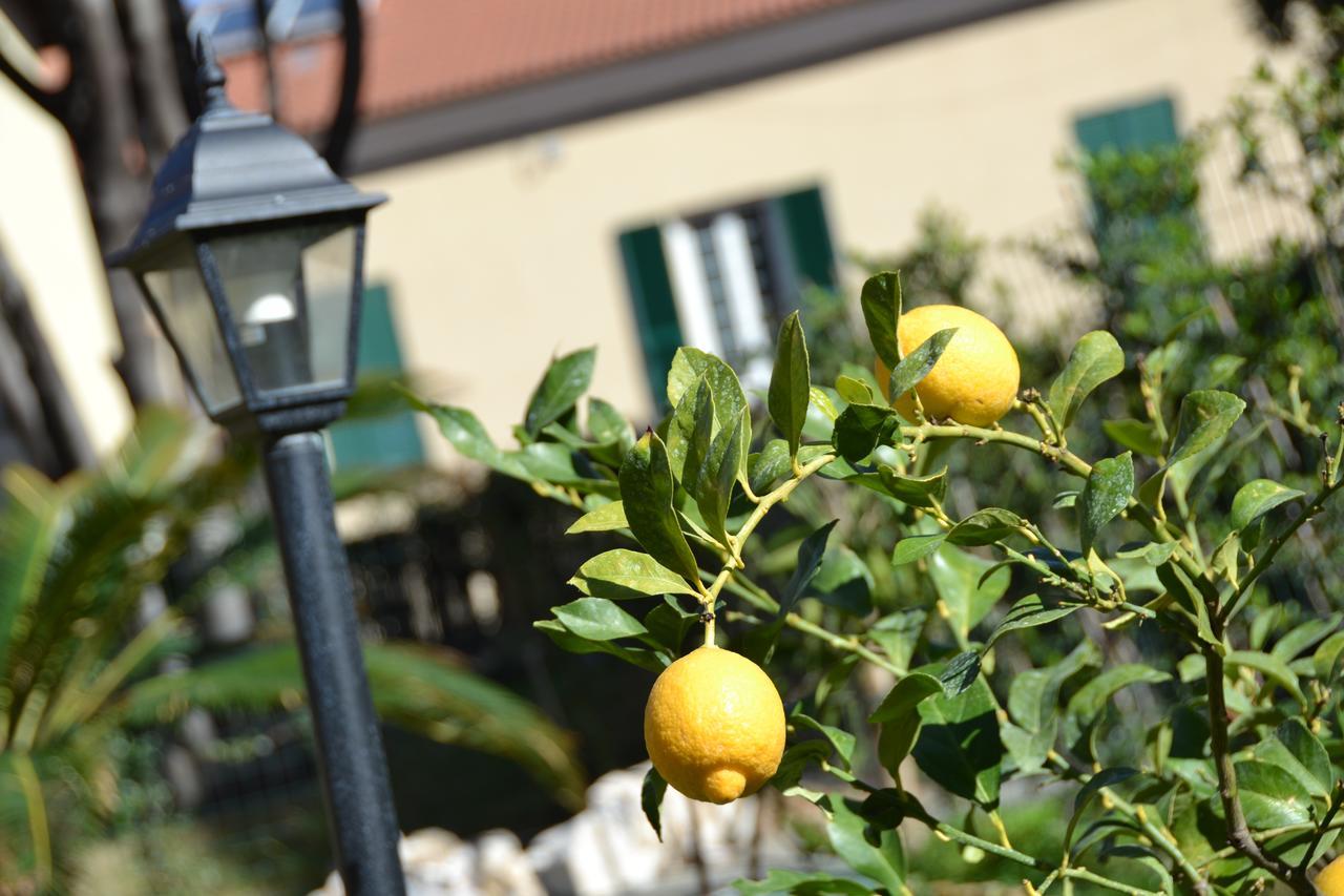 Casa Nina Bed & Breakfast Тойрано Екстериор снимка